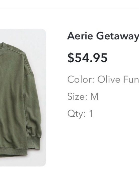 aerie Tops - aerie Olive Crewneck Pullover Sweatshirt